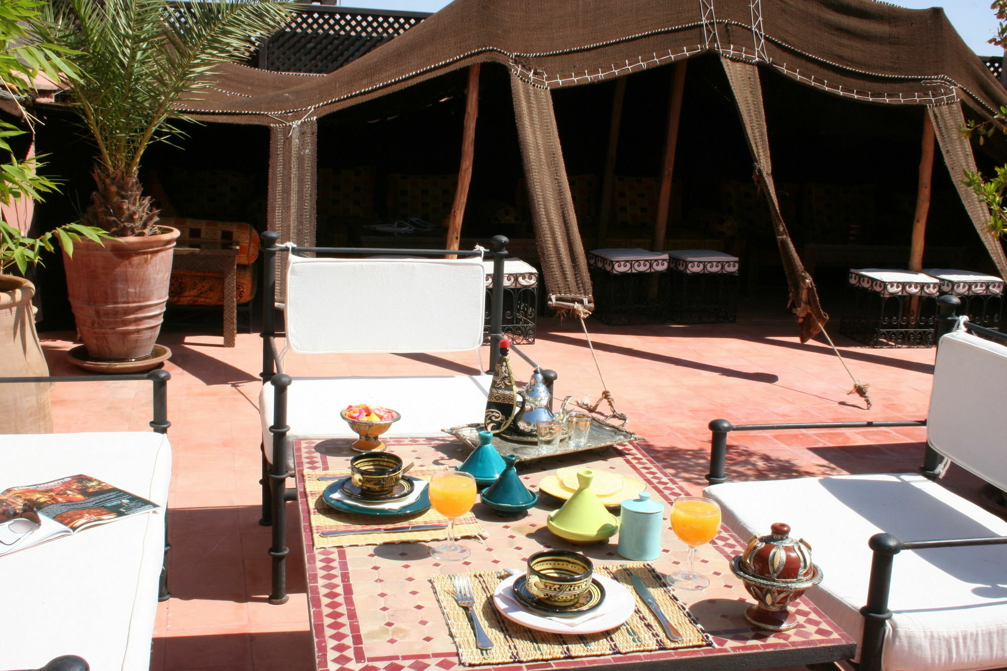 Sofia Riad 3*